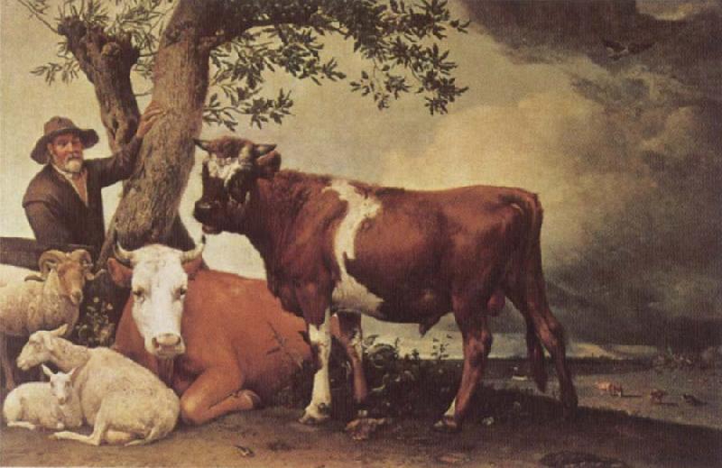 POTTER, Paulus Young Bull oil painting image